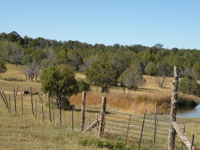a view of a lake from a yard