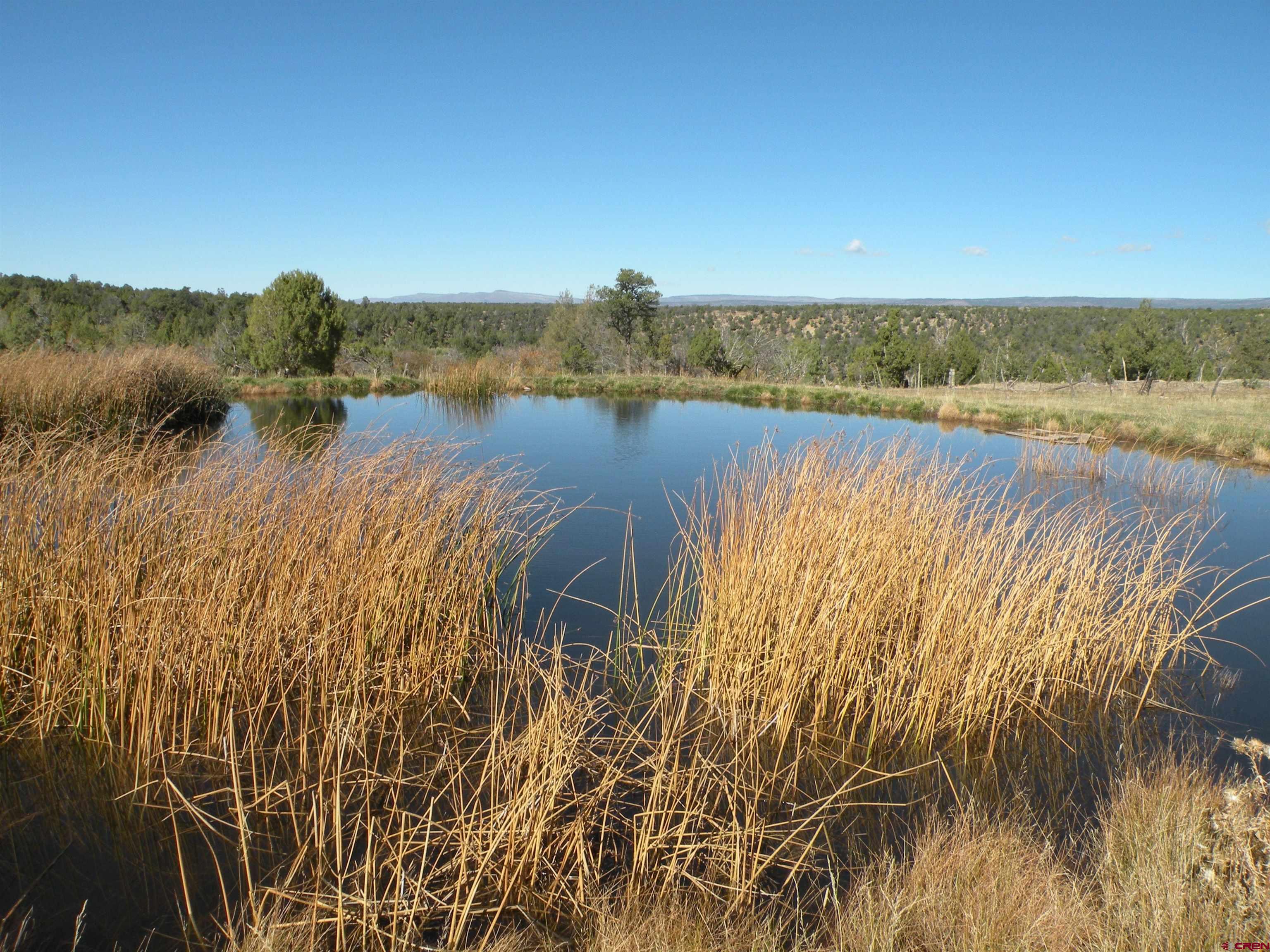 35001 4000 Road Redvale, CO 81431 - Photo 6 of 31 a view of lake with green space