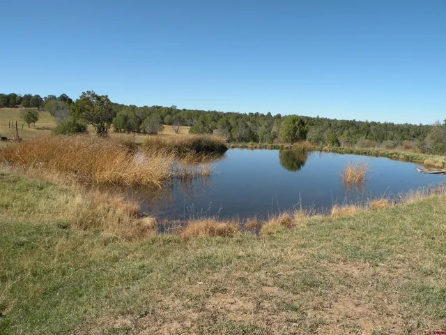 a view of lake with green space
