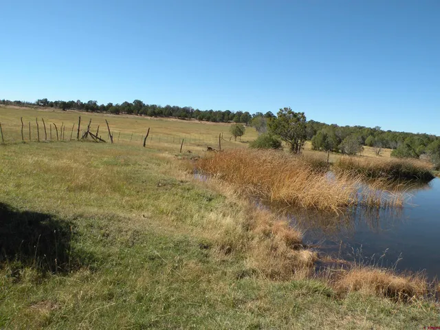 a view of river and trees