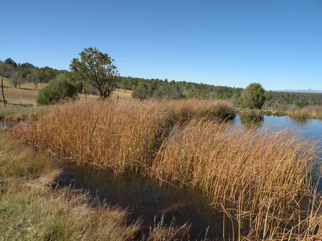 a view of a lake with a yard