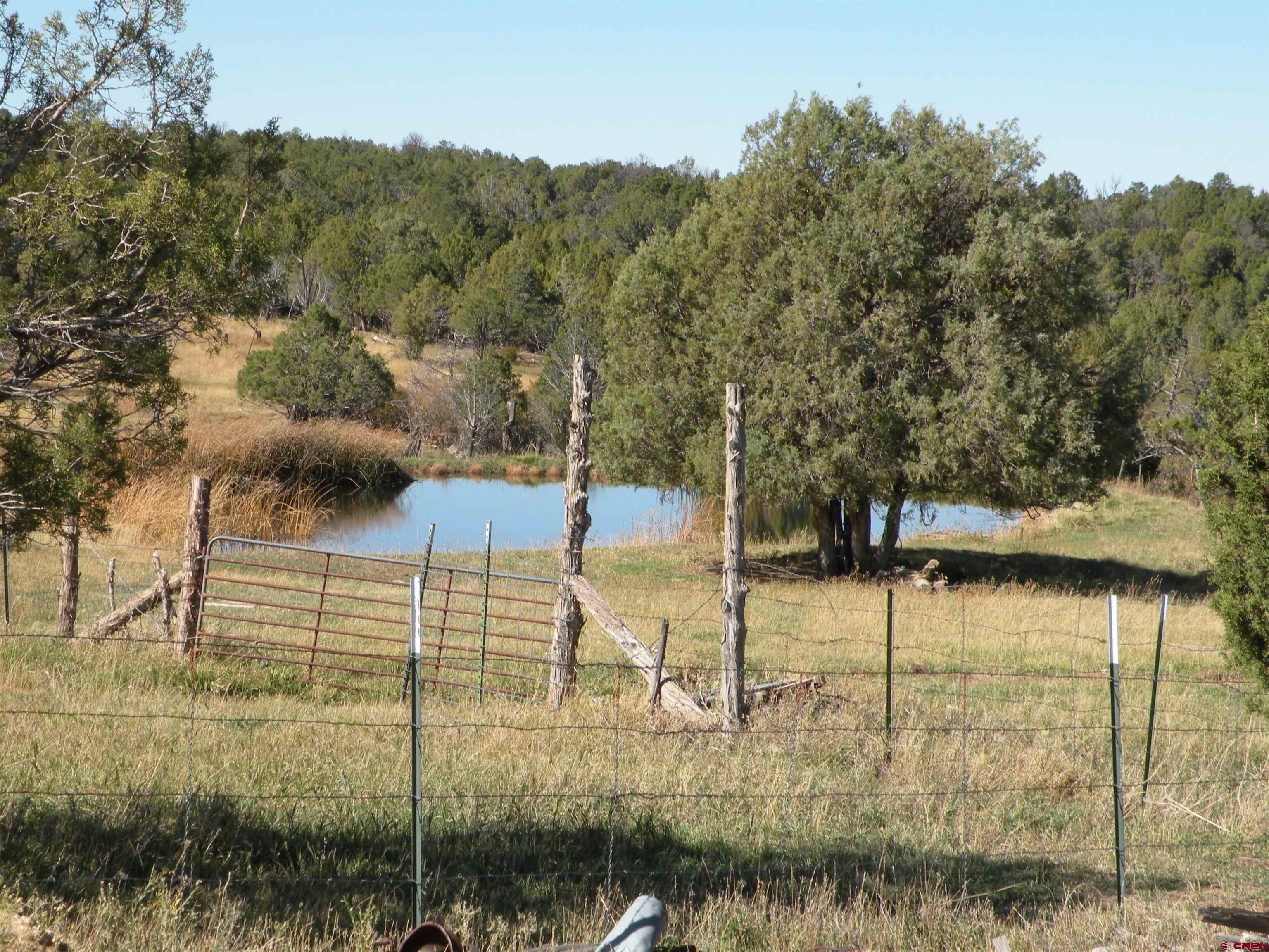 35001 4000 Road Redvale, CO 81431 - Photo 10 of 31 a view of river and trees