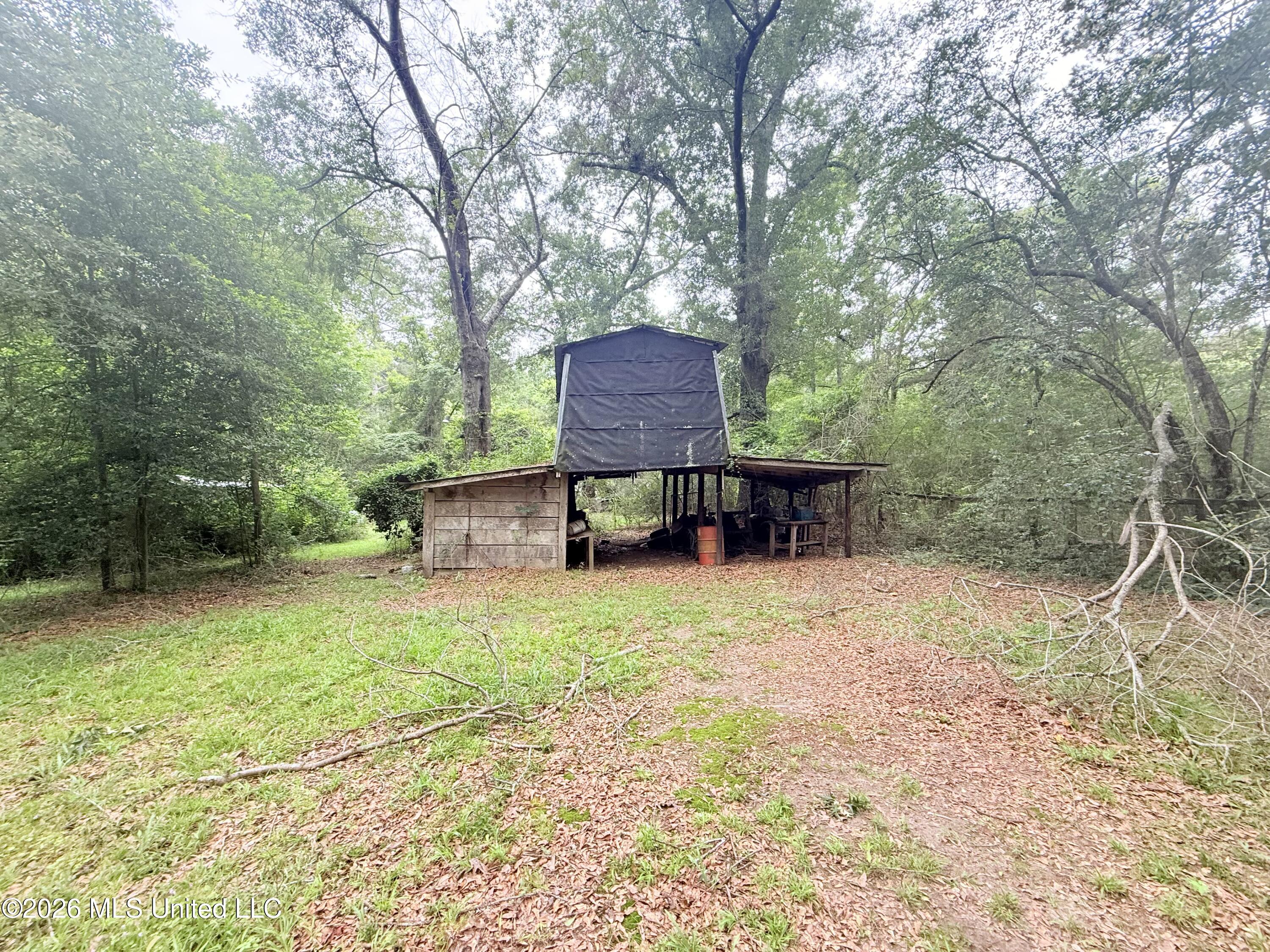 1015 Highway 51 Summit, MS 39666 - Photo 4 of 32 IMG_6627