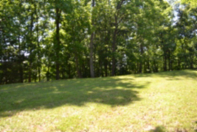 318 Rock Springs Road Celina, TN 38551 - Photo 69 of 87 a view of a yard