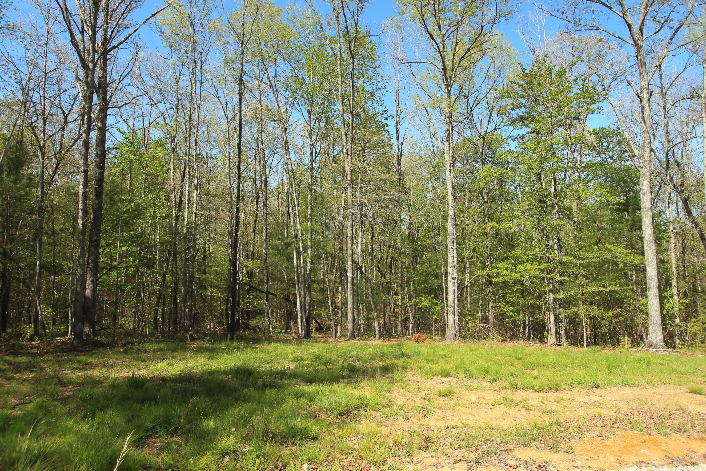 Lot 30 East Ridge Road Allardt, TN 38504 - Photo 6 of 6 130c
