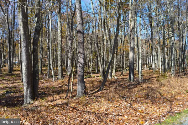 $8,000 | 181 East Alpine Drive, Terra Alta, WV 26764