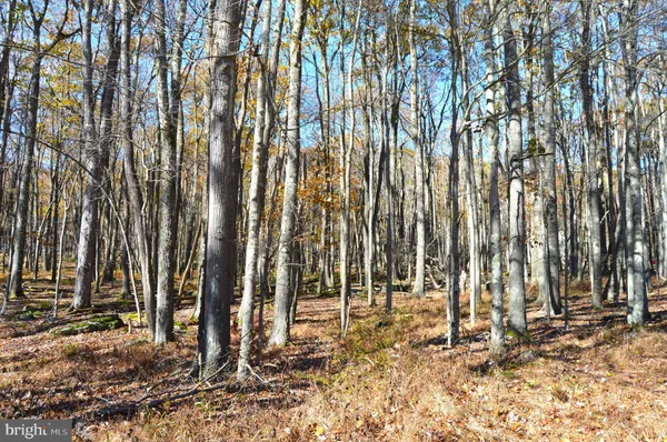 $8,000 | 181 East Alpine Drive, Terra Alta, WV 26764