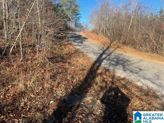 Tablee Lane, Unit 17 65 Ashland, AL 36251 - Photo 7 of 7
