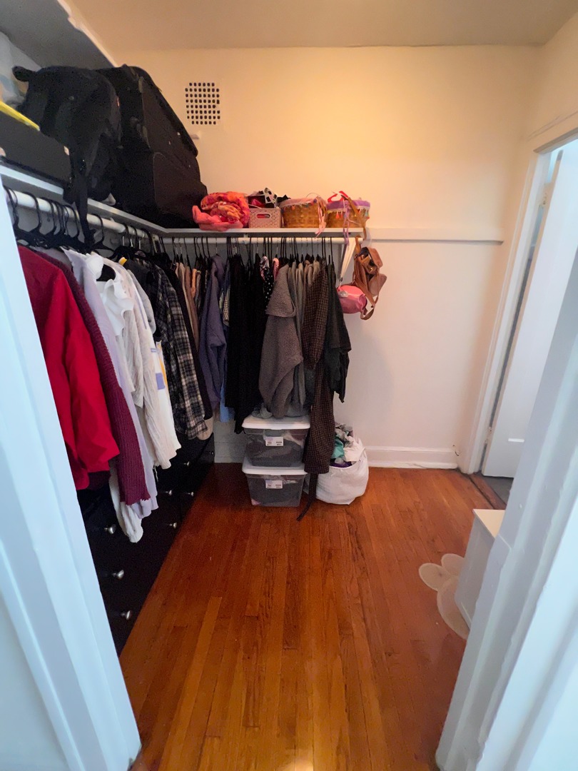 596 West Hawthorne Place, Unit 208 Chicago, IL 60657 - Photo 8 of 8 a view of walk in closet with clothes and shoes