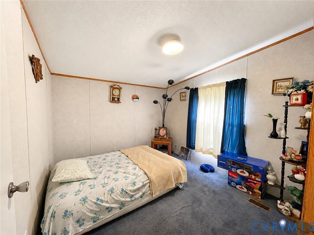 6873 Plank Road Kenbridge, VA 23944 - Photo 23 of 25 Carpeted flooring, paneled walls with wood trim ac
