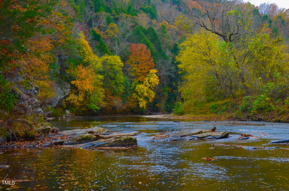 0 Lakeview Road Westfield, NC 27053 - Photo 16 of 95 Singletree-16