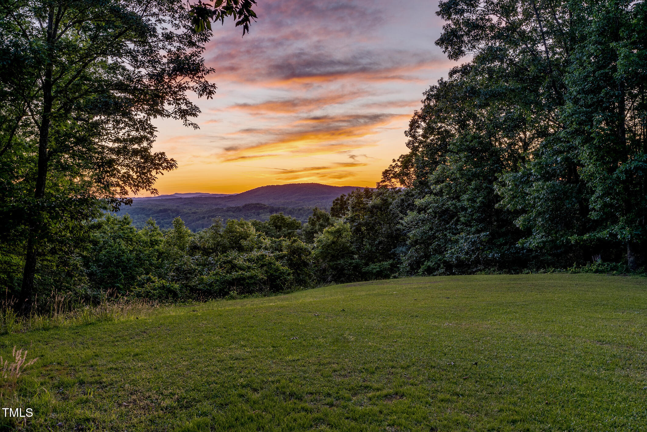 0 Lakeview Road Westfield, NC 27053 - Photo 5 of 95 Singletree-5