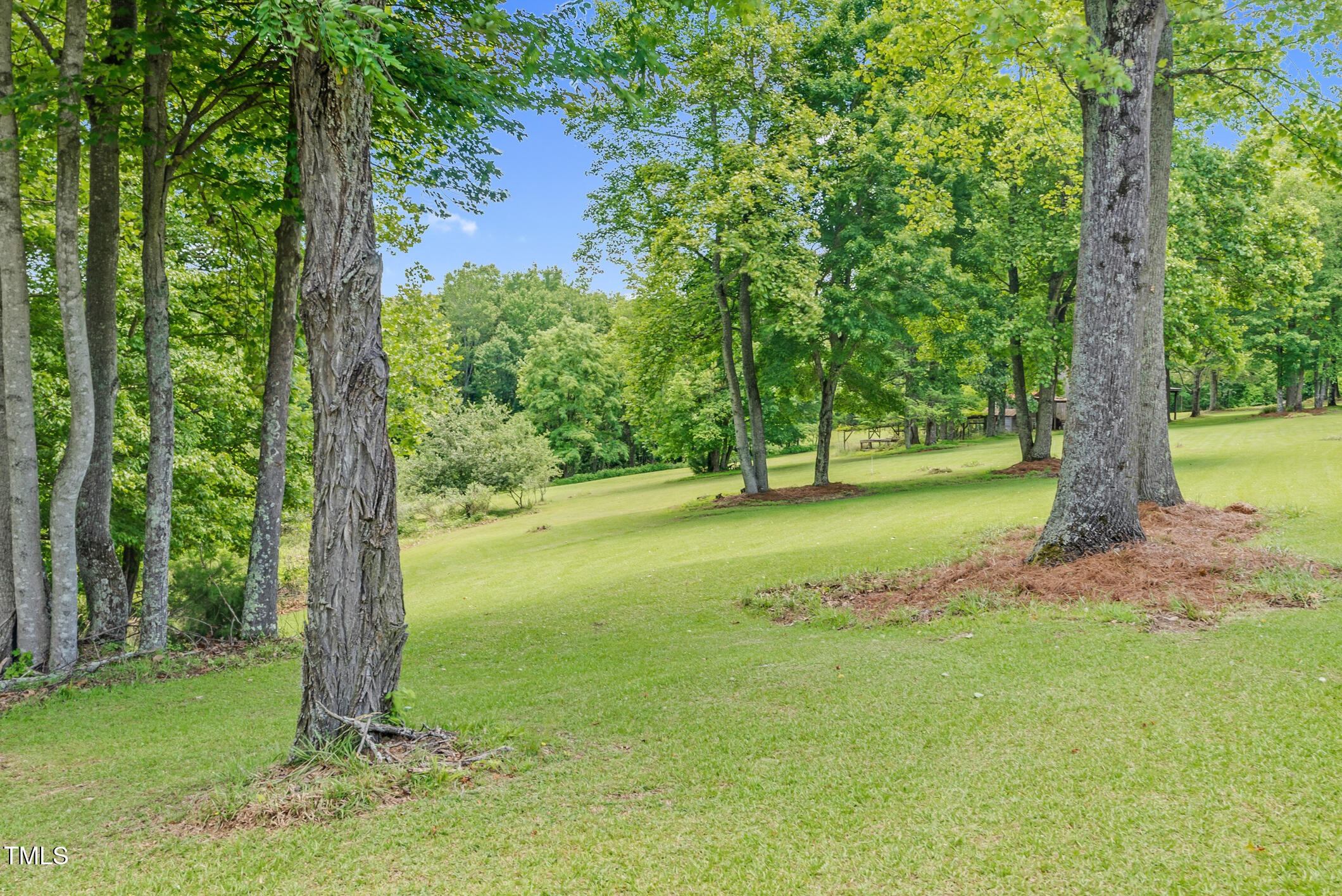 0 Lakeview Road Westfield, NC 27053 - Photo 61 of 95 Singletree-61