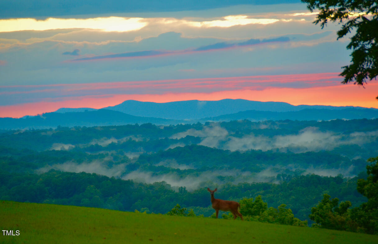 0 Lakeview Road Westfield, NC 27053 - Photo 69 of 95 Singletree-70