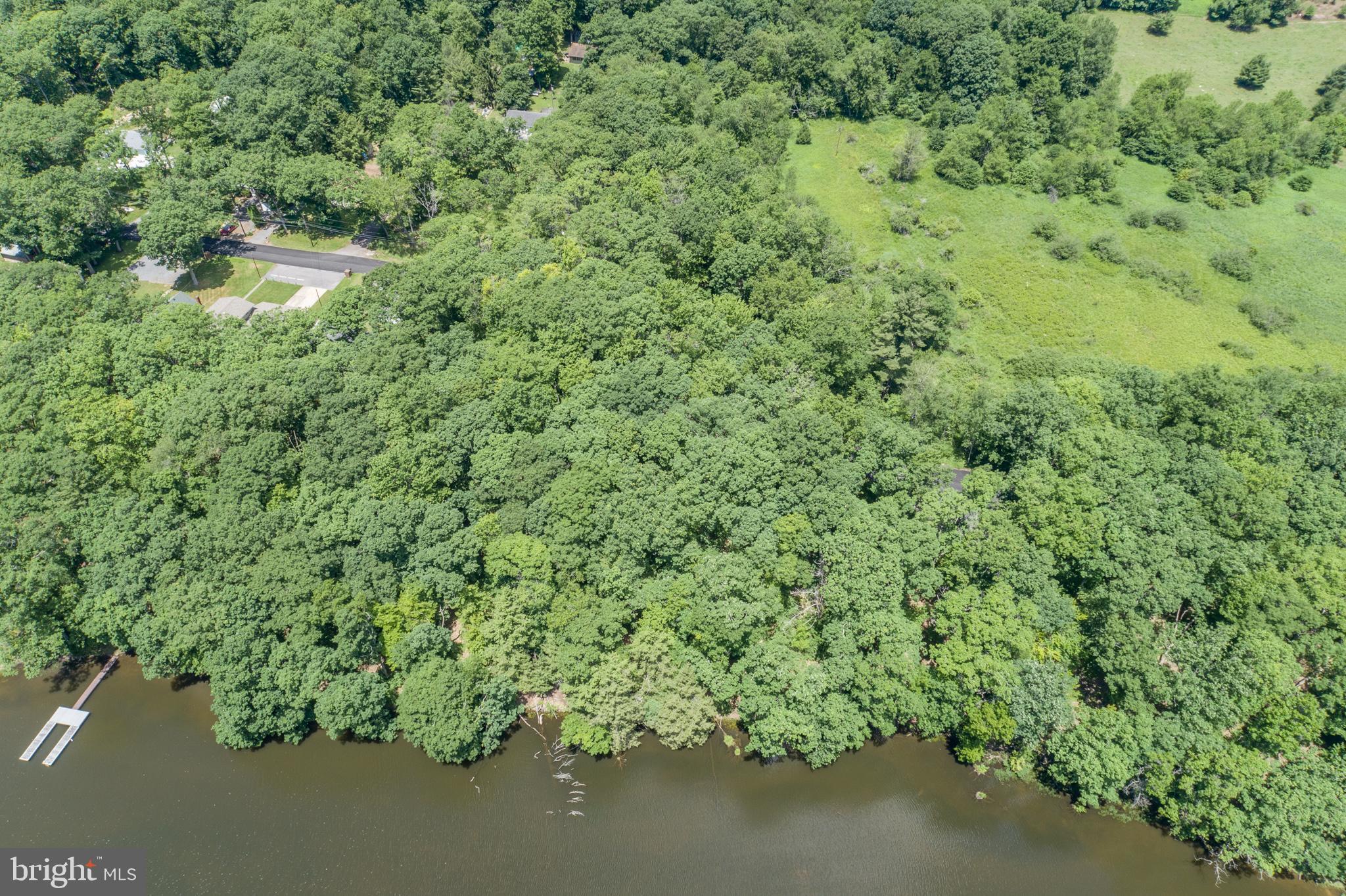 509 Brant Road Swanton, MD 21561 - Photo 6 of 21 a view of a forest with a street