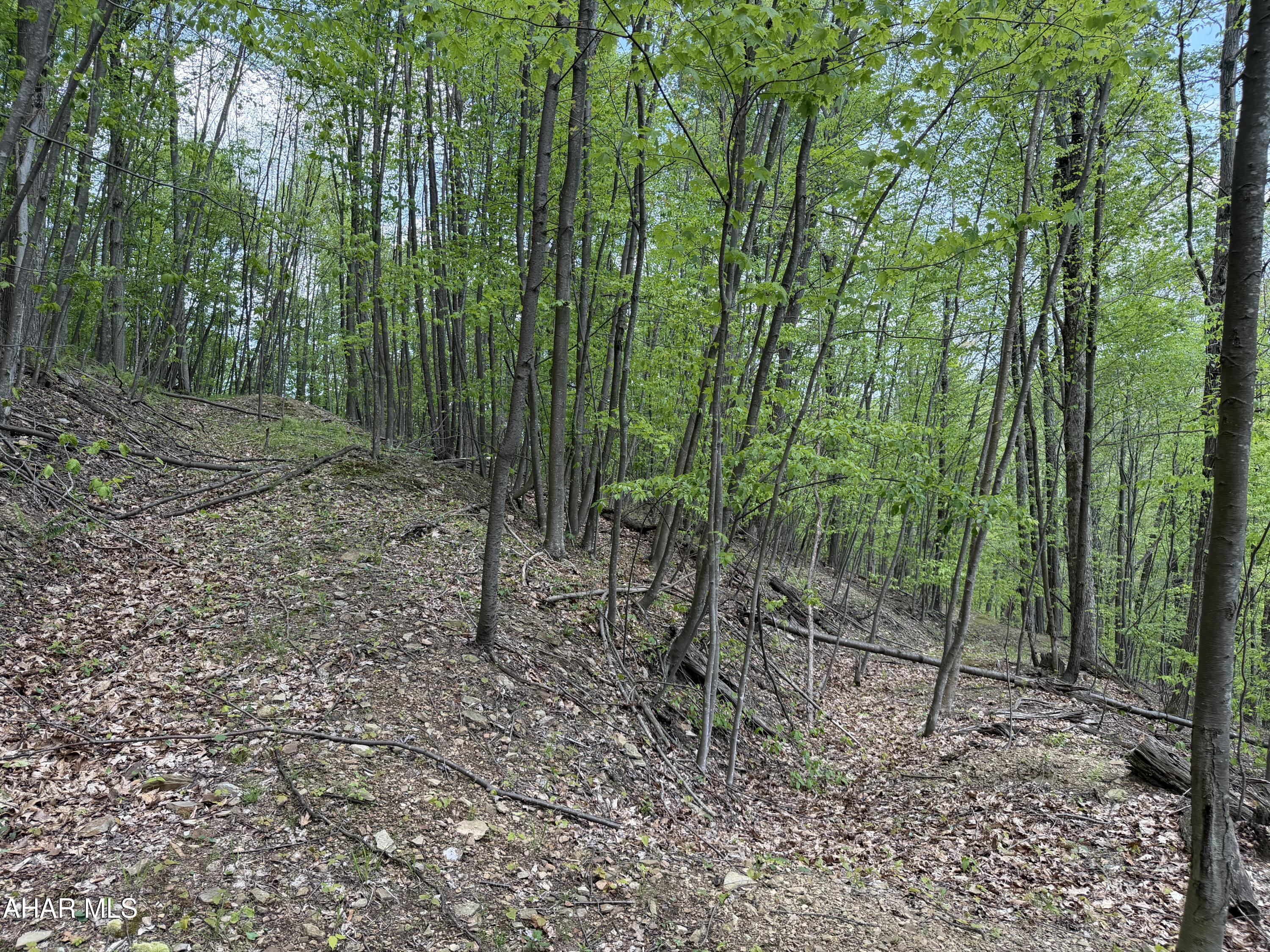 1438 Watt Road Gallitzin, PA 16641 - Photo 48 of 60