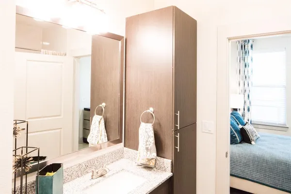 a bathroom with a sink and a mirror