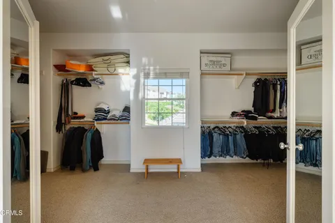 a palm tree sitting in front of a building