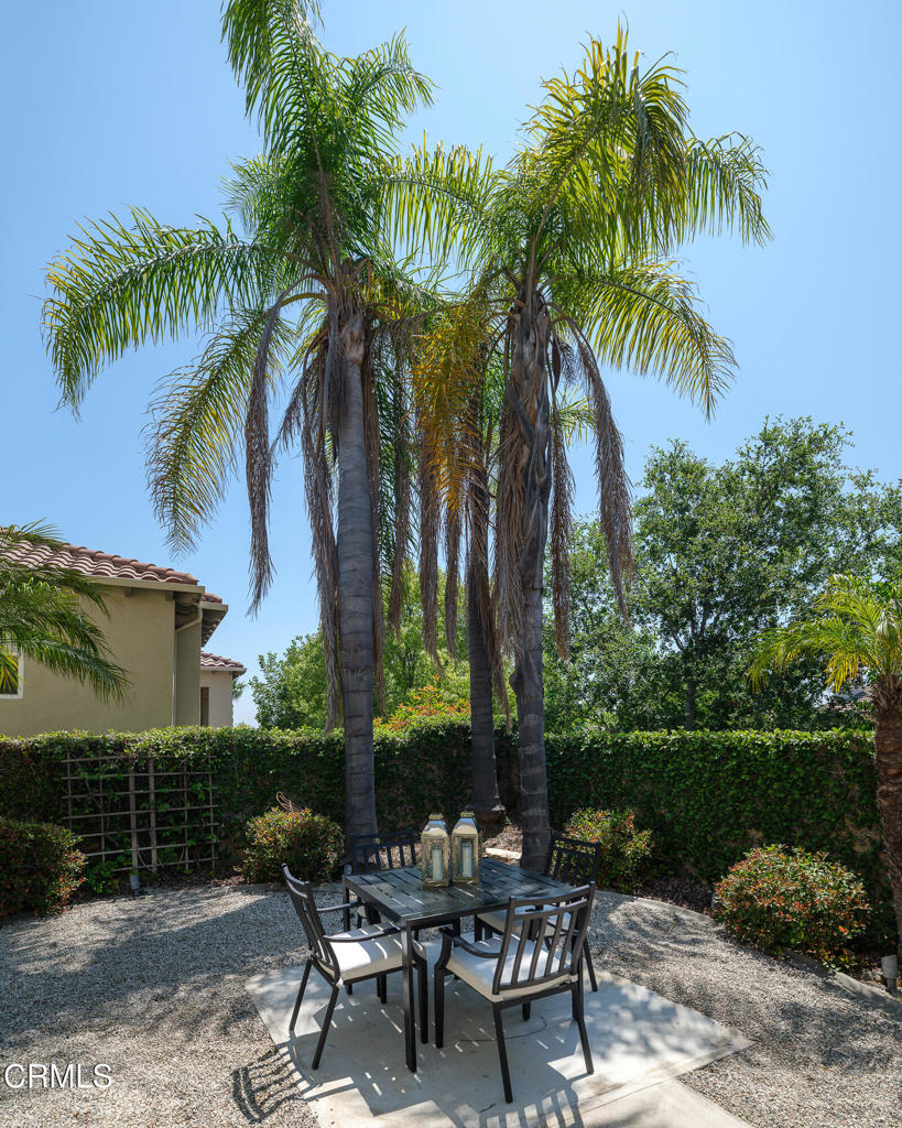 3921 Chapman Court Altadena, CA 91001 - Photo 51 of 64 a couple of palm trees sitting in front of a house