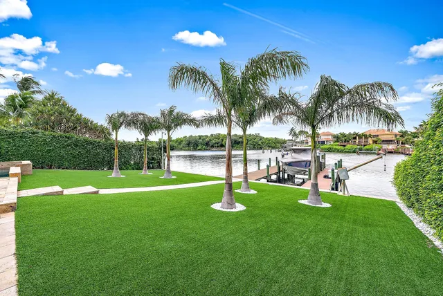 a garden with palm trees