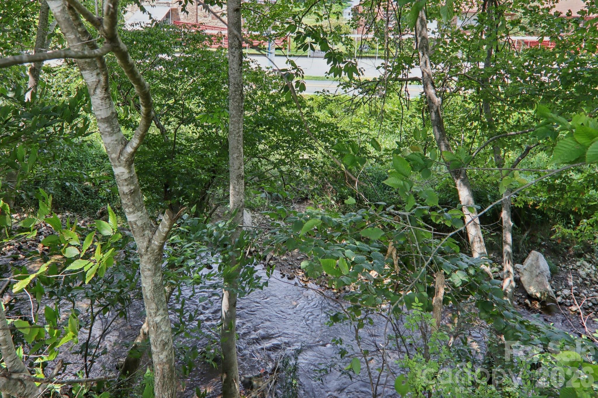 225 Fines Creek Road Clyde, NC 28721 - Photo 7 of 45 Gallery Image 7