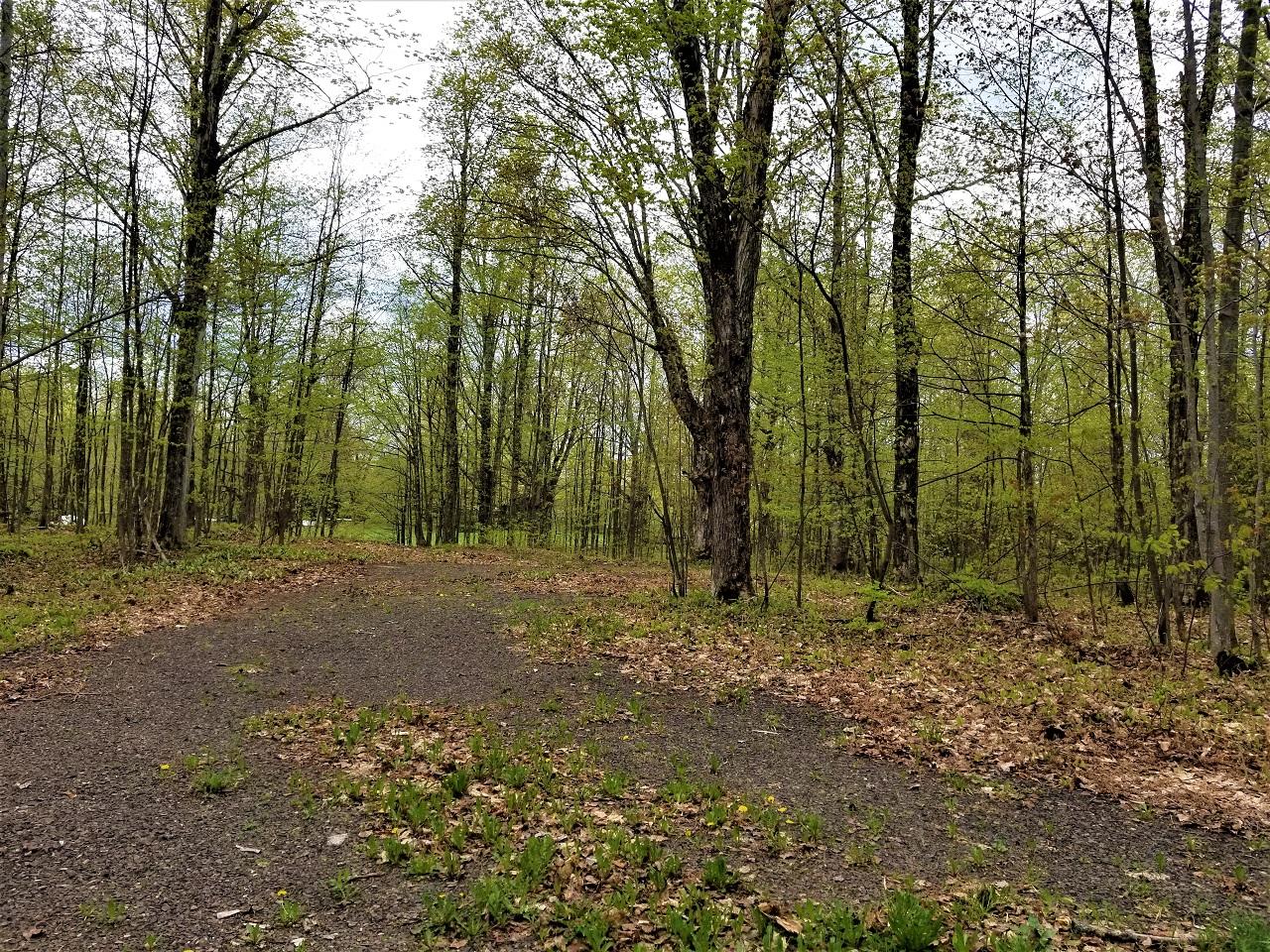 Lot 5 North Stateline Road Hurley, WI 54534 - Photo 21 of 36 Gallery Image 21