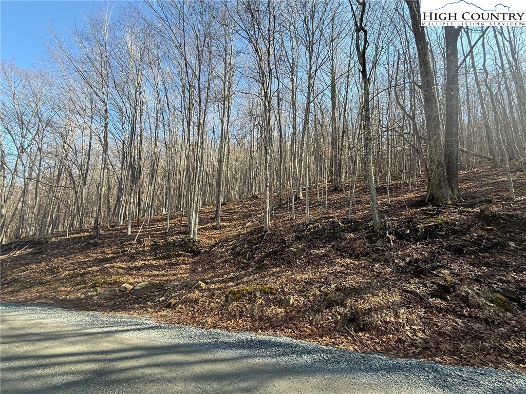 134 Locust Ridge Road Beech Mountain, NC 28604 - Photo 1 of 10 a view of a backyard