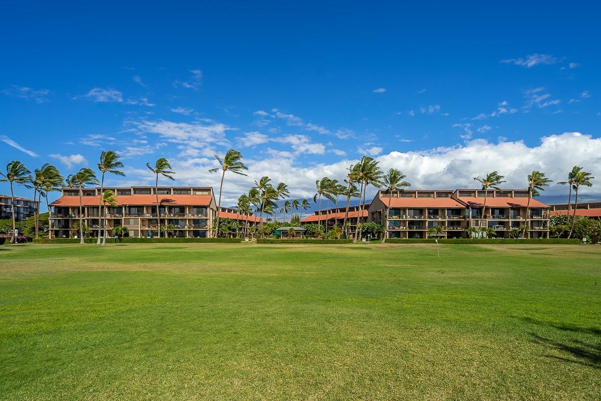 940 South Kihei Road, Unit B204 Kihei, HI 96753 - Photo 29 of 30 a view of a big room with a big yard and large trees