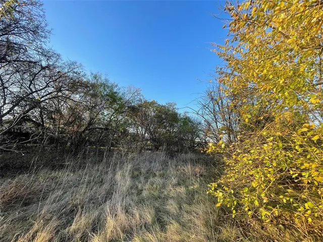 a view of a lake with a tree