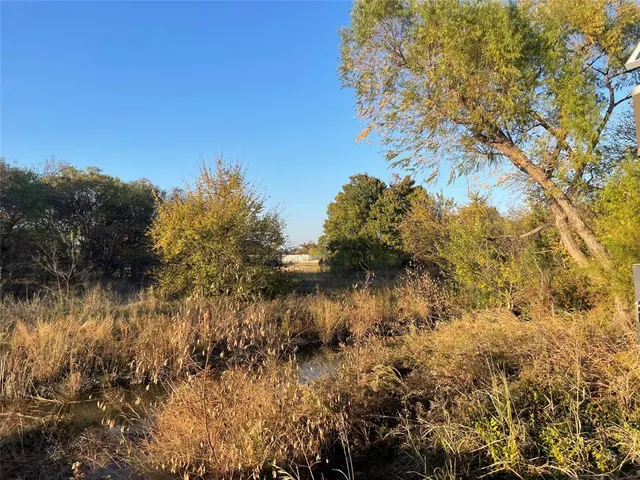 a view of a lake with a tree in the background