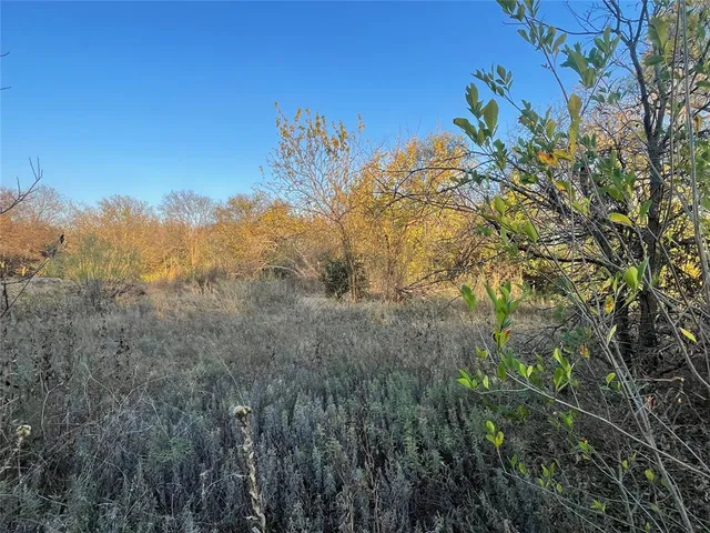 a view of a yard with a tree