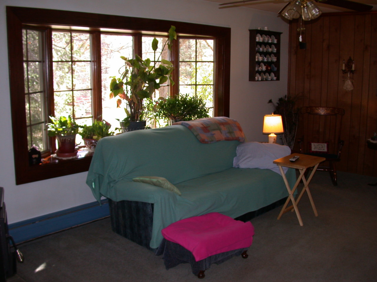 105 Gibbs Road Otis, MA 01253 - Photo 14 of 16 a living room with furniture and a potted plant