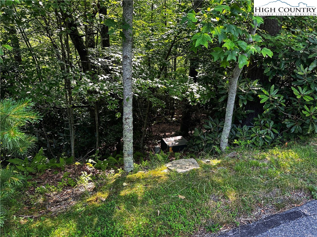 Algonquin Drive Boone, NC 28607 - Photo 3 of 10