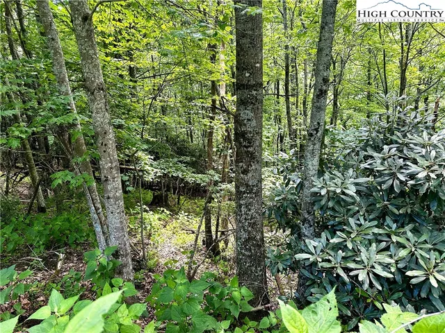 a view of outdoor space and trees