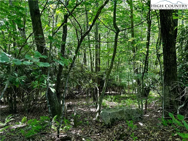 a backyard of a house with lots of trees