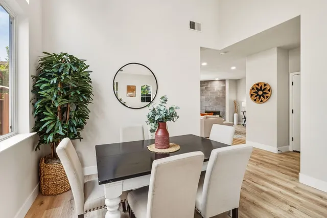 a living room with furniture a potted plant and a lamp