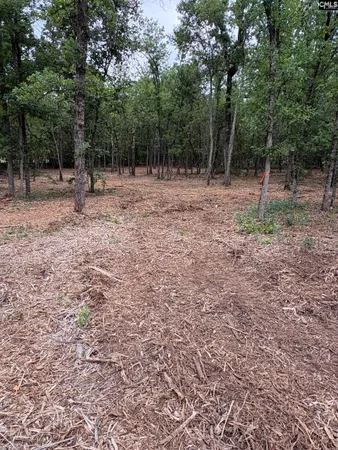 $60,000 | Lot 2 Quattlebaum Drive, Leesville, SC 29070
