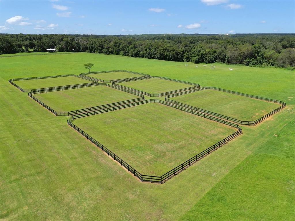 1631 West Highway 329 Citra, FL 32113 - Photo 76 of 82 a view of a tennis court