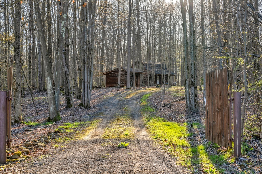8335 South Wiswell Road Windsor, OH 44099 - Photo 2 of 19 Private drive leading to cabin and outbuildings