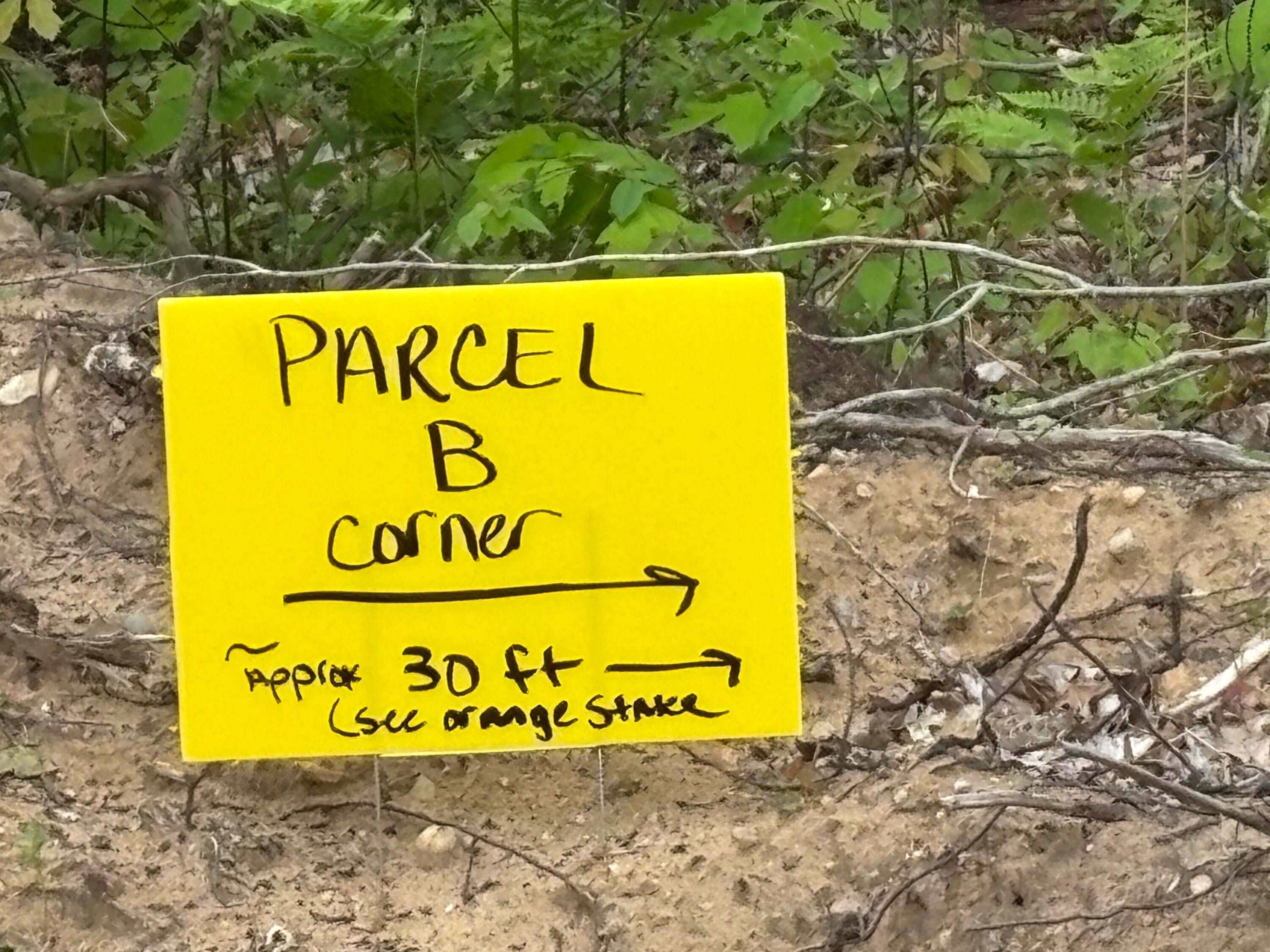 Parcel #b Townline Road Lewiston, MI 49756 - Photo 5 of 16 Gallery Image 5