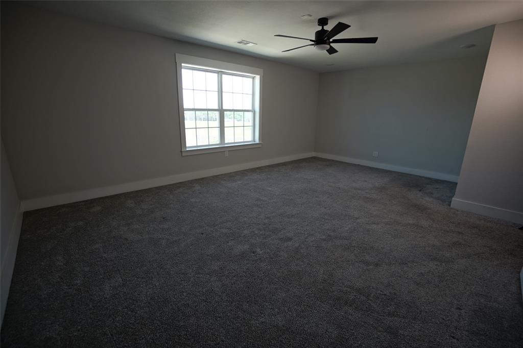 1764 Palladio Loop Princeton, TX 75407 - Photo 30 of 40 Spacious room featuring neutral carpeting, a multi-pane window, and a ceiling fan