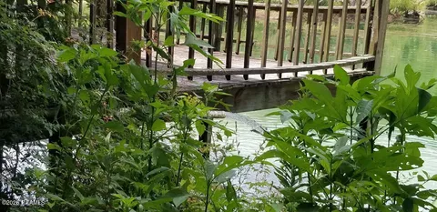 $888,500 | 128 Acres In Palmetto, Palmetto, LA 71358