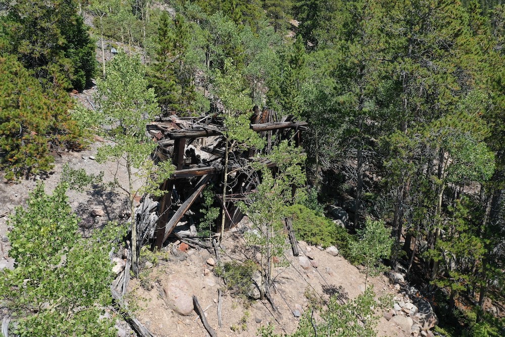 0 Silver Street Silver Plume, CO 80476 - Photo 13 of 16 a view of a plant with a tree