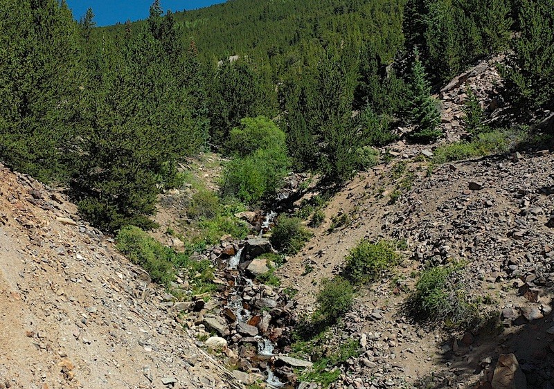 0 Silver Street Silver Plume, CO 80476 - Photo 5 of 16 a view of a forest with a building