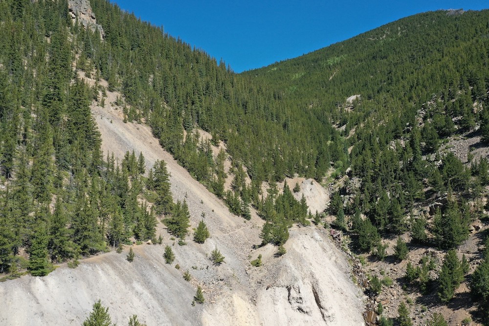 0 Silver Street Silver Plume, CO 80476 - Photo 7 of 16 a view of a forest with a mountain