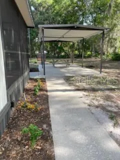 a view of a yard and tree