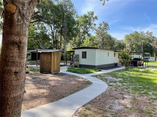 a view of a backyard with plants and a large tree