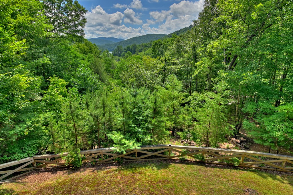 1995 Shady Falls Road Blue Ridge, GA 30513 - Photo 45 of 51 Gallery Image 45
