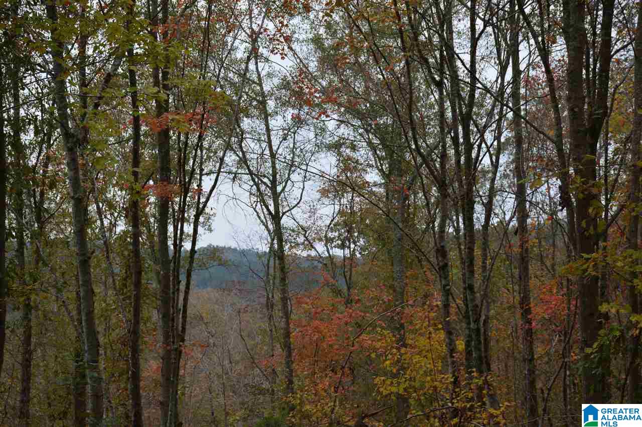 0 Jackson Loop Road, Unit 1 Ragland, AL 35131 - Photo 13 of 27