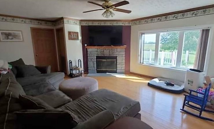 538 East 7500S Road Chebanse, IL 60922 - Photo 4 of 11 a living room with furniture and a fireplace